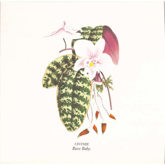 Rave Baby (VINYL) | Mint (M) Mint (M) Get Cheap Vinyl
