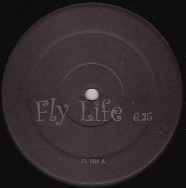 Fly Life / Outside | Excellent (EX) Generic Get Cheap Vinyl
