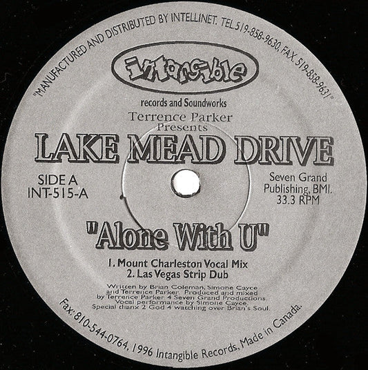 Alone With U (VINYL) | Near Mint (NM) Generic Get Cheap Vinyl