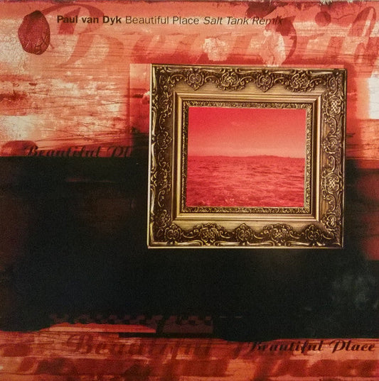 Beautiful Place (Salt Tank Remix) | Near Mint (NM) Excellent (EX) Get Cheap Vinyl