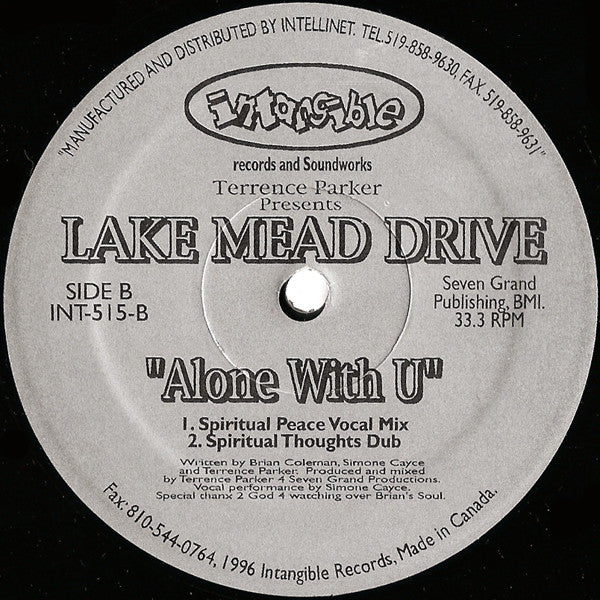 Alone With U (VINYL) | Near Mint (NM) Generic Get Cheap Vinyl