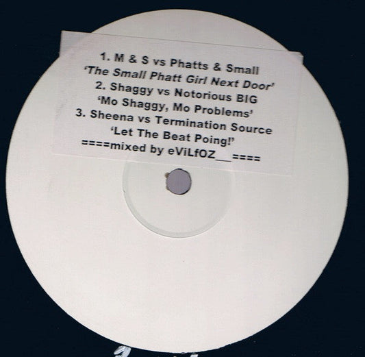 The Small Phatt Girl Next Door / Mo Shaggy, Mo Problems / Let The Beat Poing! | Very Good Plus (VG+) Generic Get Cheap Vinyl