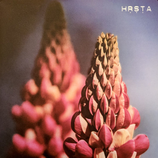 Ghosts Will Come And Kiss Our Eyes | Mint (M) Mint (M) Get Cheap Vinyl