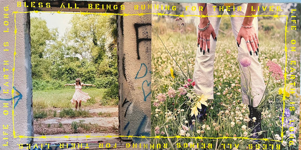 Life On Earth | Mint (M) Mint (M) Get Cheap Vinyl