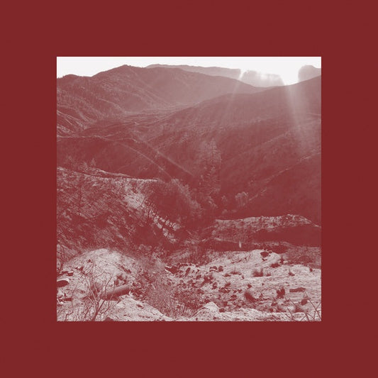 On The Darkest Day, You Took My Hand And Swore It Will Be Okay | Get Cheap Vinyl
