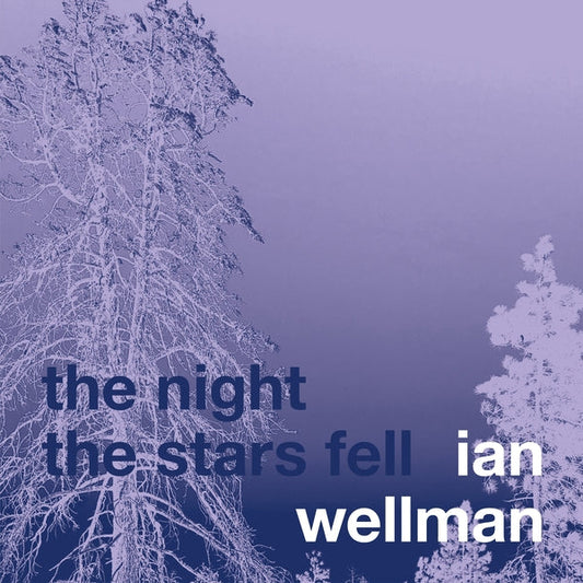 The Night The Stars Fell | Get Cheap Vinyl