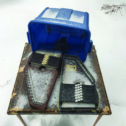 2 Autoharps, A Snowmobile, Some Snowplows, A Premature Snowblower | Get Cheap Vinyl