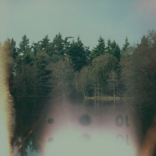 The Loss Of Wilderness (COKE BOTTLE CLEAR) | Mint (M) Mint (M) Get Cheap Vinyl