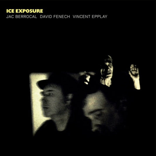 Ice Exposure | Get Cheap Vinyl