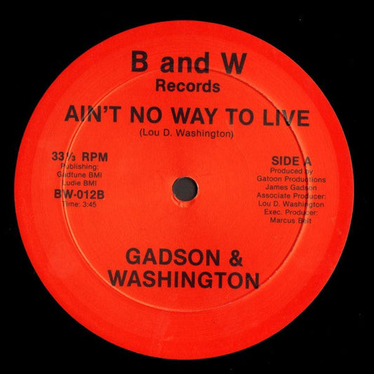 Ain't No Way To Live / Indian Village | Mint (M) Generic Get Cheap Vinyl