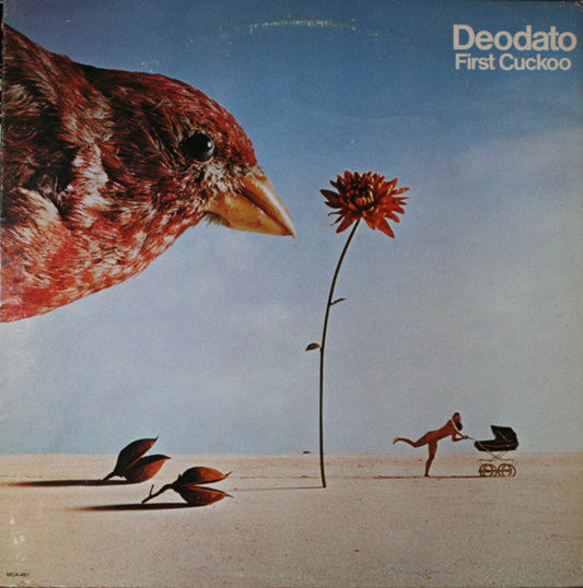 First Cuckoo | Near Mint (NM) Generic Get Cheap Vinyl