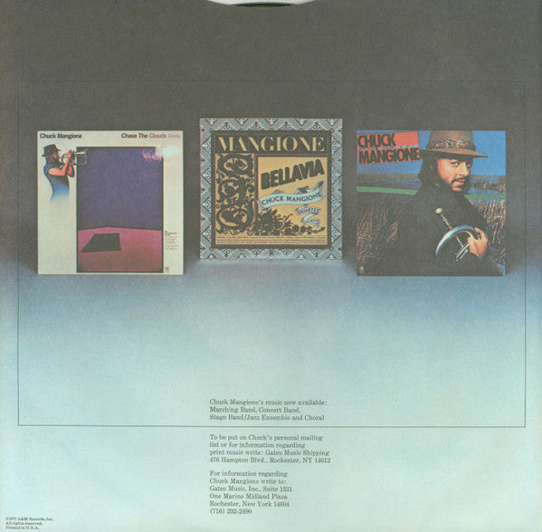 Feels So Good (VINYL) | Near Mint (NM) Excellent (EX) Get Cheap Vinyl