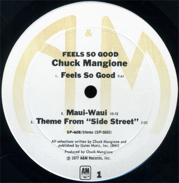 Feels So Good (VINYL) | Near Mint (NM) Excellent (EX) Get Cheap Vinyl