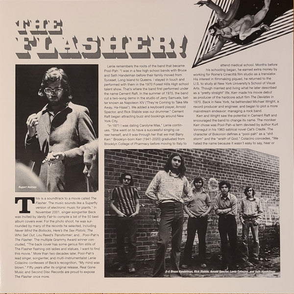 The Flasher | Mint (M) Mint (M) Get Cheap Vinyl