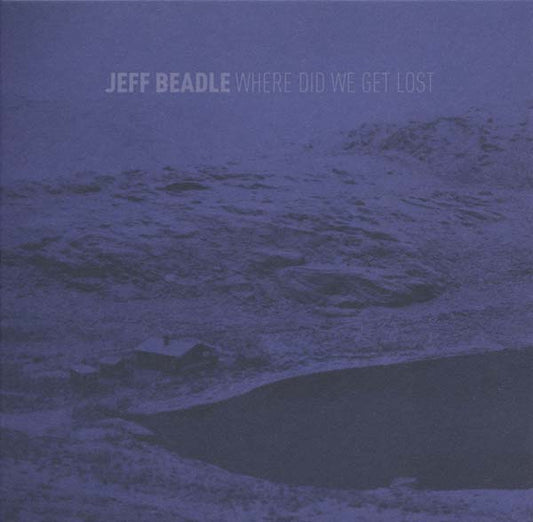 Where Did We Get Lost | Get Cheap Vinyl