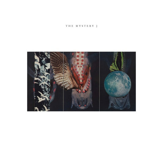 The Mystery J | Get Cheap Vinyl