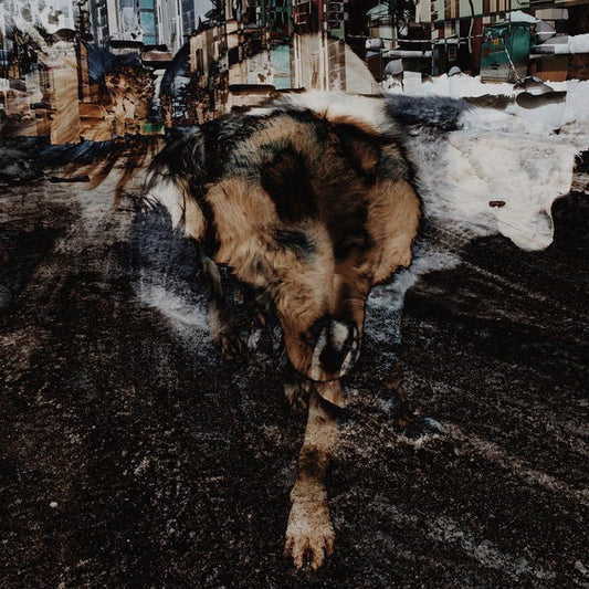Primitive Energetics (VINYL) | Mint (M) Mint (M) Get Cheap Vinyl