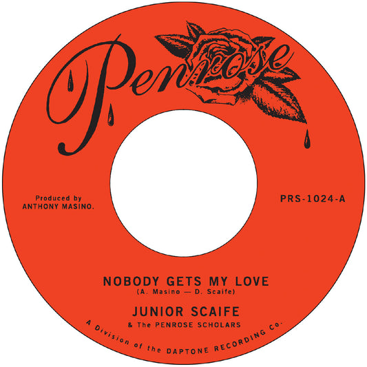 Nobody Gets My Love B/W Too Much Too Soon | Get Cheap Vinyl