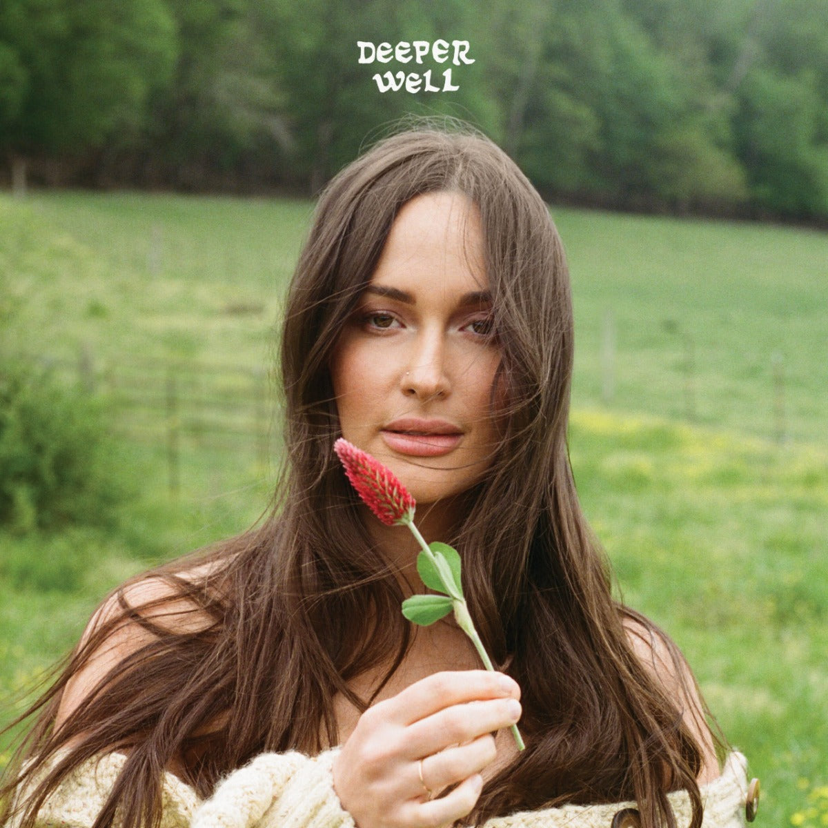 Deeper Well (TORTOISE SHELL VINYL) | Mint (M) Mint (M) Get Cheap Vinyl