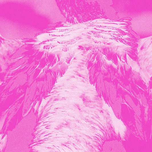A field guide to phantasmic birds | Get Cheap Vinyl