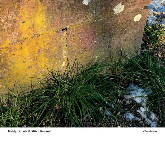 Ouroboros (LP) | Mint (M) Mint (M) Get Cheap Vinyl