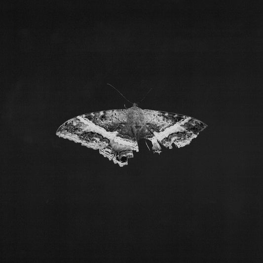 To Pimp A Butterfly (10 Year Anniversary Edition) - Alternate Artwork [180G 2 Lp] | Mint (M) Mint (M) Get Cheap Vinyl