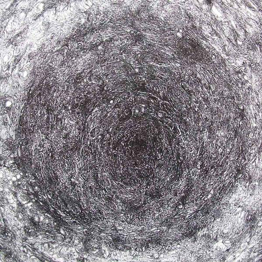 The Back Room [Import] (VINYL) | Mint (M) Mint (M) Get Cheap Vinyl