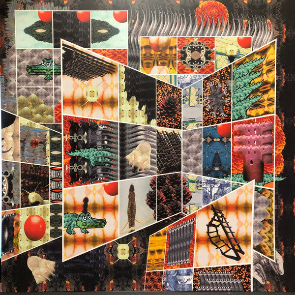 Polygondwanaland | Mint (M) Mint (M) Get Cheap Vinyl