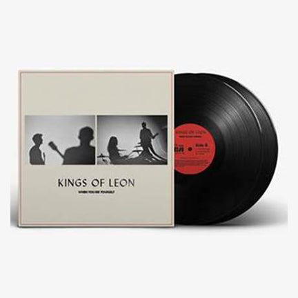 When You See Yourself (2LP | Black Vinyl) | Mint (M) Mint (M) Get Cheap Vinyl