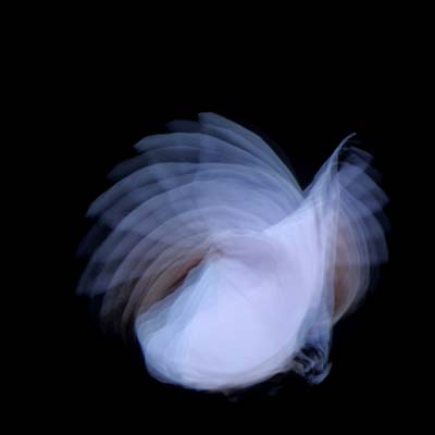 Feathermagnetik | Get Cheap Vinyl