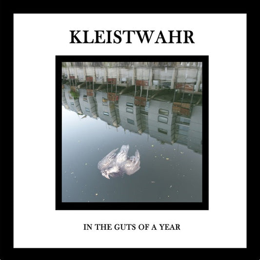 In the Guts of a Year | Get Cheap Vinyl
