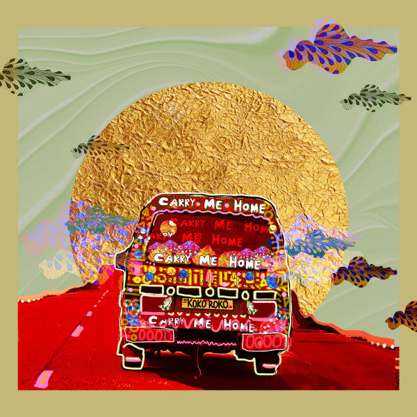 Carry Me Home / Baba Ayoola (VINYL) | Mint (M) Mint (M) Get Cheap Vinyl