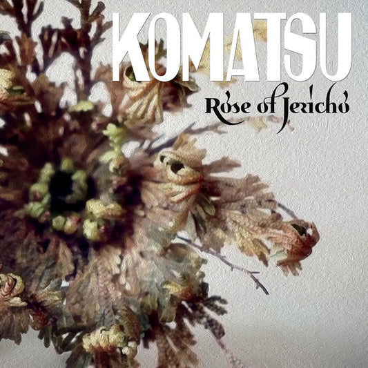 Rose Of Jericho | Get Cheap Vinyl