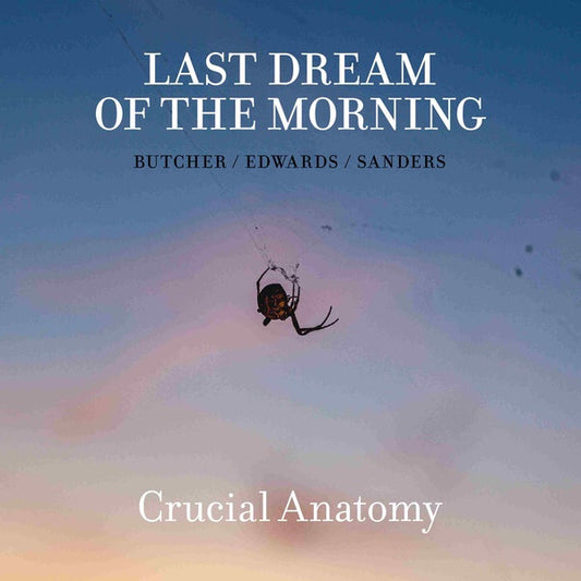 Crucial Anatomy (CD) | Mint (M) Mint (M) Get Cheap Vinyl
