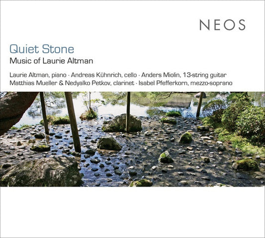 Quiet Stone: Music of Laurie Altman | Get Cheap Vinyl