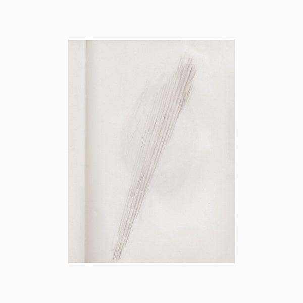 A Mirror Holds The Sky | Get Cheap Vinyl