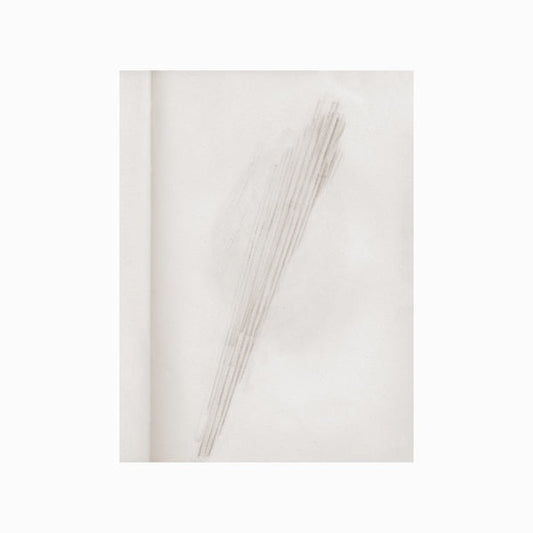 A Mirror Holds The Sky | Get Cheap Vinyl