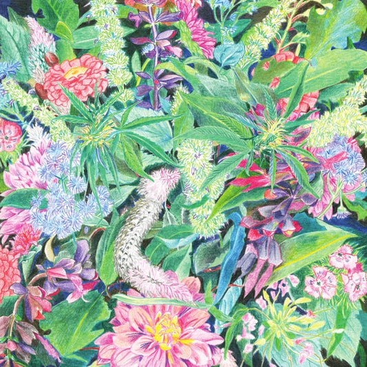 The Rising Wave | Mint (M) Mint (M) Get Cheap Vinyl