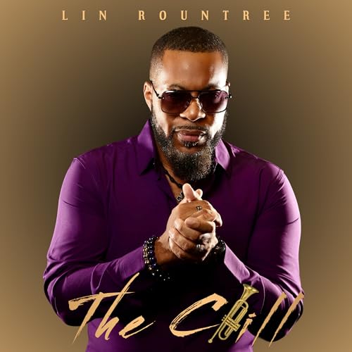 The Chill | Get Cheap Vinyl