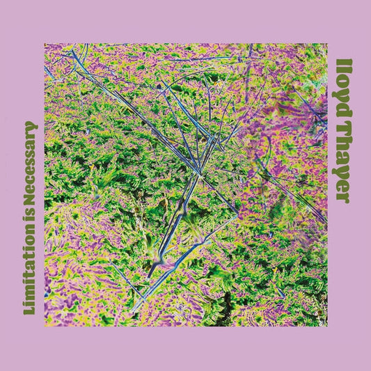 Limitation Is Necessary | Get Cheap Vinyl