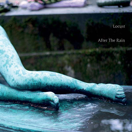 After the Rain | Get Cheap Vinyl
