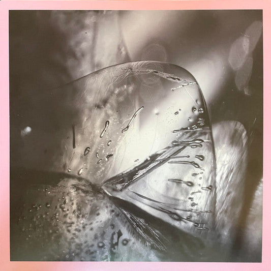 Clara | Mint (M) Mint (M) Get Cheap Vinyl
