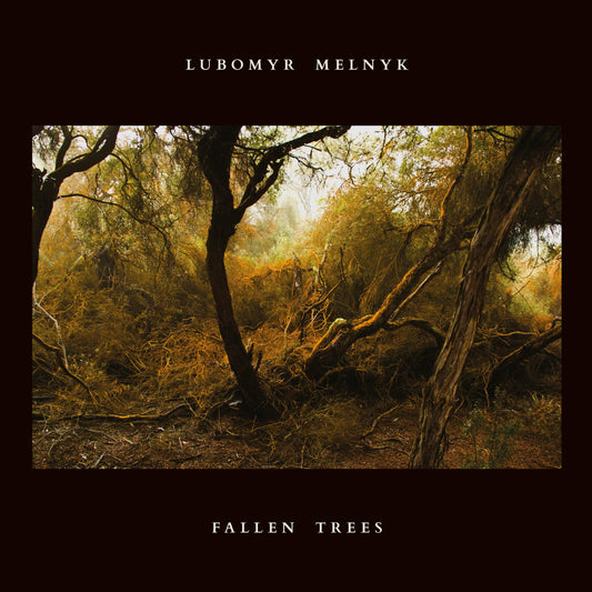 Fallen Trees (VINYL) | Mint (M) Mint (M) Get Cheap Vinyl