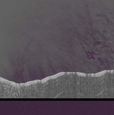 Apophenia [Import] | Mint (M) Mint (M) Get Cheap Vinyl