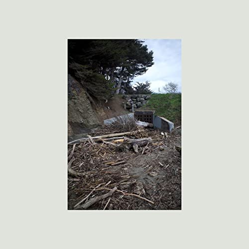 Five Easy Hot Dogs [LP] | Mint (M) Mint (M) Get Cheap Vinyl
