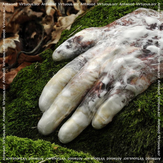 Virtuous.scr | Mint (M) Mint (M) Get Cheap Vinyl