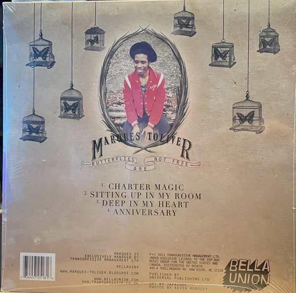 Butterflies Are Not Free | Mint (M) Mint (M) Get Cheap Vinyl
