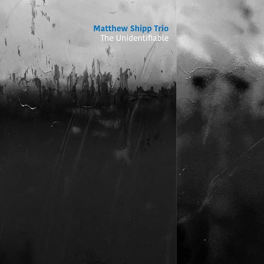 The Unidentifiable | Get Cheap Vinyl