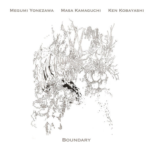 Boundary | Get Cheap Vinyl