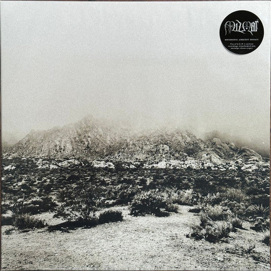 Mnemonic: Ambient Mosaic (VINYL) | Mint (M) Mint (M) Get Cheap Vinyl